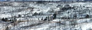2.92 acres in Fort Garland, CO (Costilla County) - APN 70106980 (photo 4)