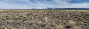 4.22 acres in Blanca, CO (Costilla County) - APN 70302940 (photo 6)