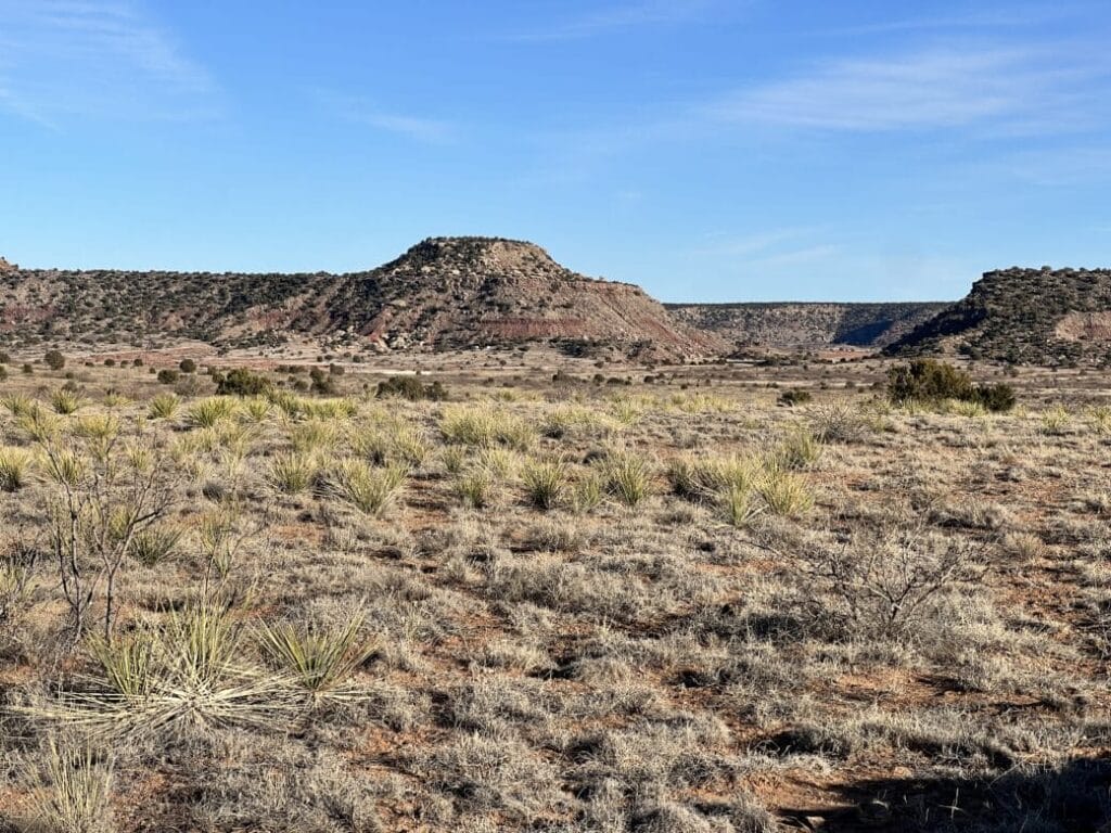 5.33 acres in Garita, NM (San Miguel County) - APN 387610