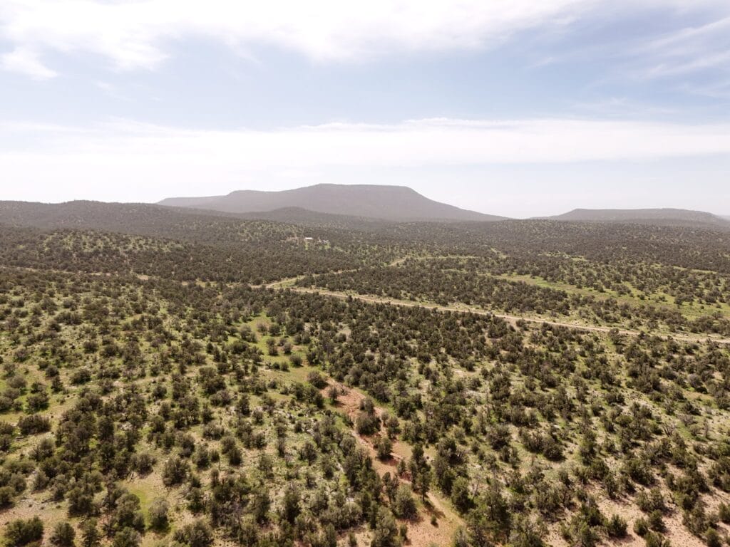 Aerial view of the 35-acre parcel near Seligman, AZ — juniper woodland stretching to a flat-top mesa on the horizon (APN 301-24-299)