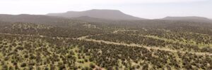 Aerial view of the 35-acre parcel near Seligman, AZ — juniper woodland stretching to a flat-top mesa on the horizon (APN 301-24-299)