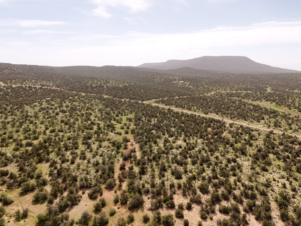Aerial view of the wooded terrain with a prominent mesa butte on the horizon and dirt road below, Seligman, AZ (APN 301-24-299)