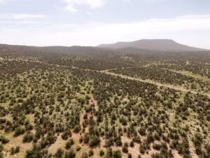Aerial view of the wooded terrain with a prominent mesa butte on the horizon and dirt road below, Seligman, AZ (APN 301-24-299)