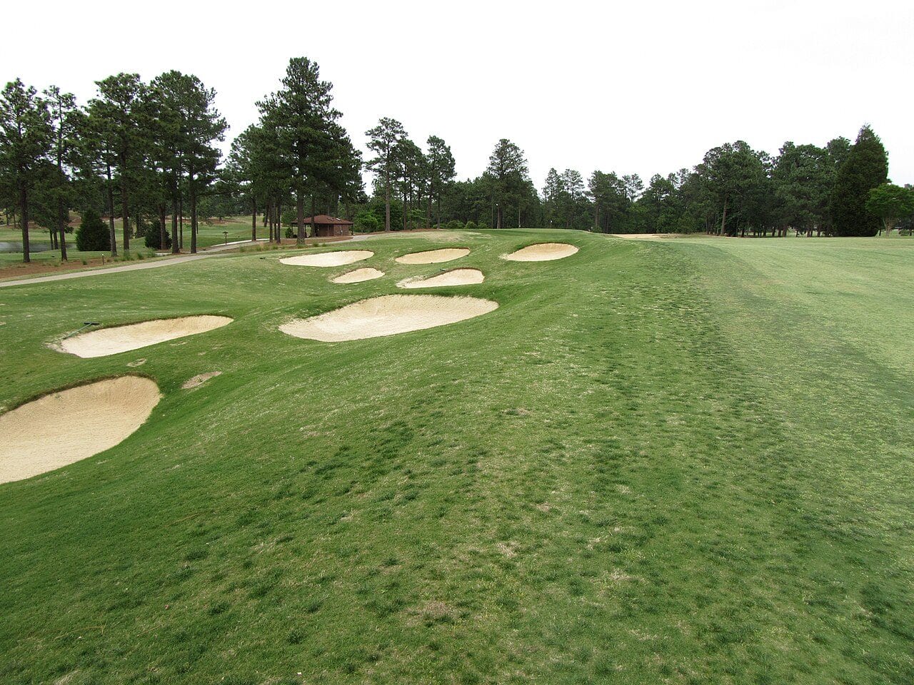 Sandy waste bunkers and longleaf pines along a fairway at Pinehurst