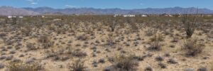 Open desert lot facing the Hualapai Mountains, Yucca AZ — APN 245-21-102
