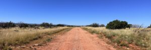 Red dirt road leading through open high desert with juniper scrub and golden grass, Navajo County AZ — parcel 111-22-195