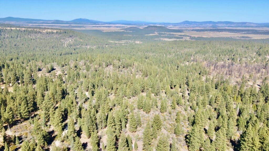 Aerial view of 2.3-acre wooded parcel in Klamath Falls Forest Estates near Bonanza, Oregon, with mountain ridges and the open Klamath Basin visible across the valley