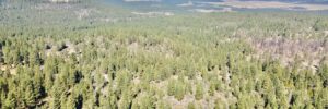 Aerial view of 2.3-acre wooded parcel in Klamath Falls Forest Estates near Bonanza, Oregon, with mountain ridges and the open Klamath Basin visible across the valley