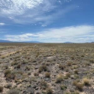 5.04 acres in Blanca, CO (Costilla County) - APN 70314030 (photo 7)
