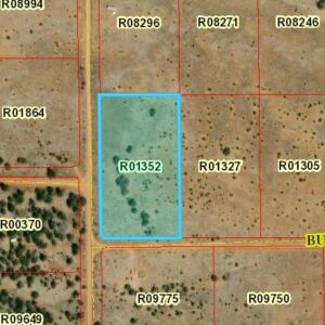5.02 acres in Pinehill, NM (Cibola County) - APN R01352 (photo 9)