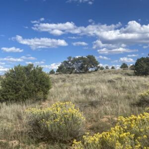 5.02 acres in Pinehill, NM (Cibola County) - APN R01352