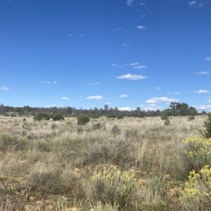 5.02 acres in Pinehill, NM (Cibola County) - APN R01352 (photo 7)