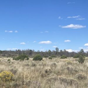 5.02 acres in Pinehill, NM (Cibola County) - APN R01352 (photo 4)