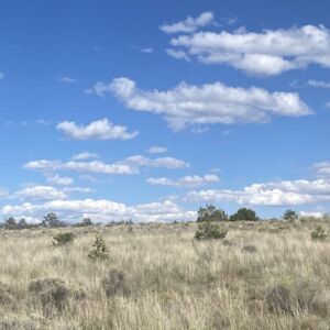 5.02 acres in Pinehill, NM (Cibola County) - APN R01352 (photo 5)