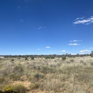 5.02 acres in Pinehill, NM (Cibola County) - APN R01352 (photo 3)