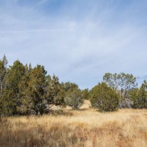 2.02 acres in Seligman, AZ (Yavapai County) - APN 301-43-073 (photo 8)