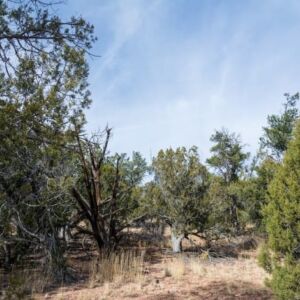 2.02 acres in Seligman, AZ (Yavapai County) - APN 301-43-073 (photo 7)