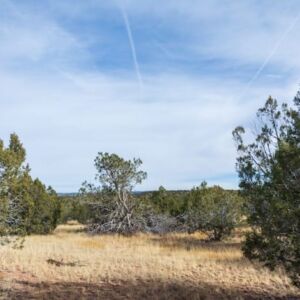 2.02 acres in Seligman, AZ (Yavapai County) - APN 301-43-073 (photo 6)