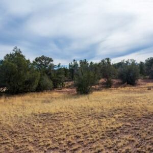 2.02 acres in Seligman, AZ (Yavapai County) - APN 301-43-073 (photo 5)