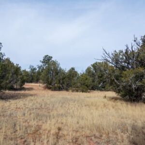 2.02 acres in Seligman, AZ (Yavapai County) - APN 301-43-073 (photo 3)