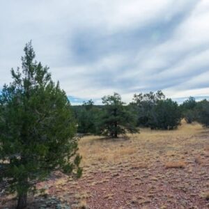 2.02 acres in Seligman, AZ (Yavapai County) - APN 301-43-073 (photo 2)