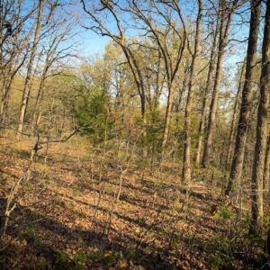 6.63 acres in Edwards, MO (Benton County County) - APN 168233000002032000 & 169232000002001000 (photo 3)