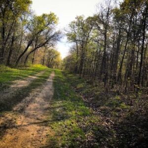 6.63 acres in Edwards, MO (Benton County County) - APN 168233000002032000 & 169232000002001000
