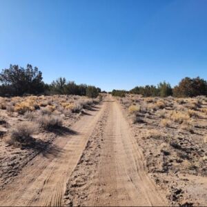 10 acres in St Johns, AZ (Apache County) - APN 205-27-023E