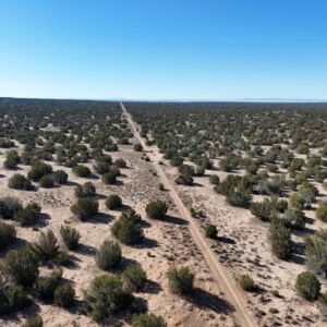 10 acres in St Johns, AZ (Apache County) - APN 205-27-023E (photo 9)