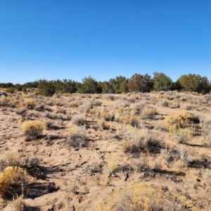 10 acres in St Johns, AZ (Apache County) - APN 205-27-023E (photo 8)