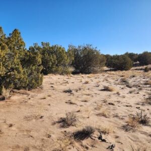 10 acres in St Johns, AZ (Apache County) - APN 205-27-023E (photo 7)