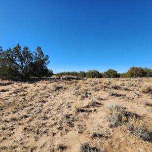 10 acres in St Johns, AZ (Apache County) - APN 205-27-023E (photo 6)