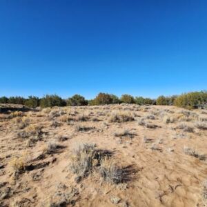 10 acres in St Johns, AZ (Apache County) - APN 205-27-023E (photo 5)