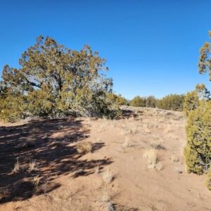 10 acres in St Johns, AZ (Apache County) - APN 205-27-023E (photo 4)
