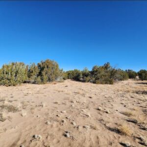 10 acres in St Johns, AZ (Apache County) - APN 205-27-023E (photo 2)