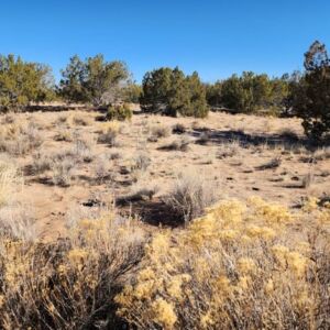 10 acres in St Johns, AZ (Apache County) - APN 205-27-023E (photo 3)