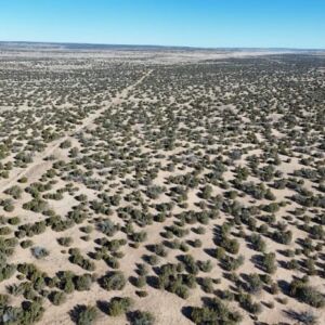 10 acres in St Johns, AZ (Apache County) - APN 205-27-023E (photo 10)