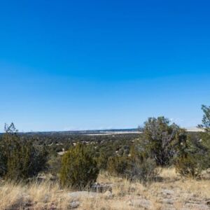 1.05 acres in Seligman, AZ (Yavapai County) - APN 301-36-192 (photo 3)