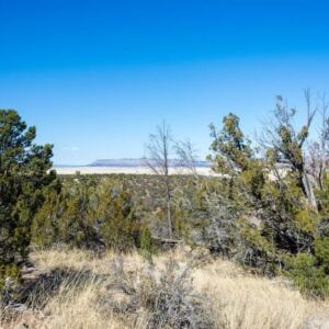 1.05 acres in Seligman, AZ (Yavapai County) - APN 301-36-192 (photo 4)
