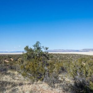 1.05 acres in Seligman, AZ (Yavapai County) - APN 301-36-192 (photo 5)