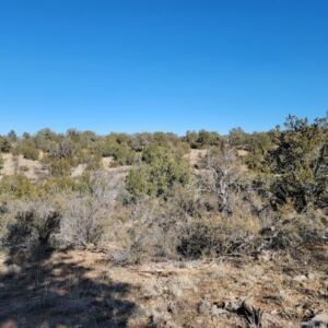 1.05 acres in Seligman, AZ (Yavapai County) - APN 301-36-192 (photo 7)