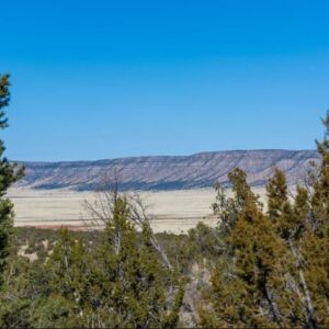 1.05 acres in Seligman, AZ (Yavapai County) - APN 301-36-192 (photo 8)