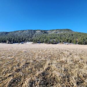 1.35 acres in Pagosa Springs, CO (Archuleta County) - APN 589309105009