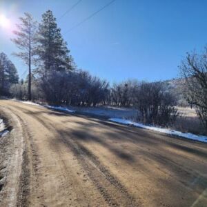 1.35 acres in Pagosa Springs, CO (Archuleta County) - APN 589309105009 (photo 9)