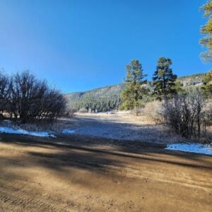 1.35 acres in Pagosa Springs, CO (Archuleta County) - APN 589309105009 (photo 8)