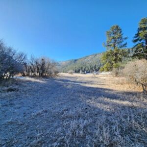 1.35 acres in Pagosa Springs, CO (Archuleta County) - APN 589309105009 (photo 7)