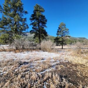 1.35 acres in Pagosa Springs, CO (Archuleta County) - APN 589309105009 (photo 6)