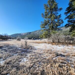 1.35 acres in Pagosa Springs, CO (Archuleta County) - APN 589309105009 (photo 5)