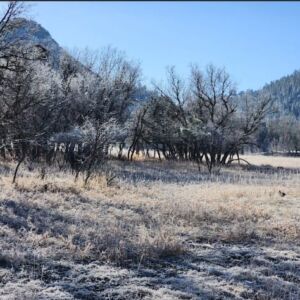 1.35 acres in Pagosa Springs, CO (Archuleta County) - APN 589309105009 (photo 4)