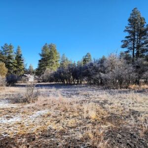 1.35 acres in Pagosa Springs, CO (Archuleta County) - APN 589309105009 (photo 3)